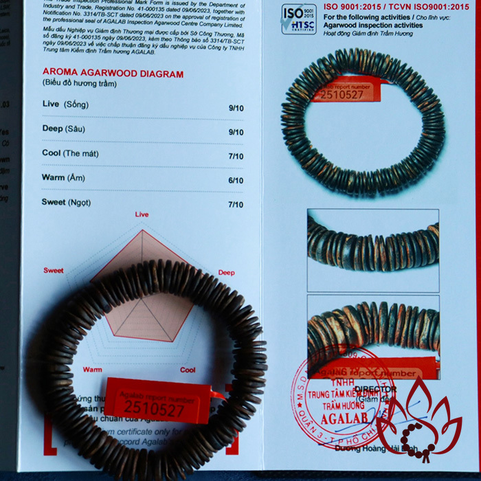 Vòng Trầm Hương Hạt Dẹp | 12 ly | Trầm Bì Rễ Chìm Nước